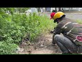 Amazing transformation of overgrown sidewalks - Cleaning up residential parks