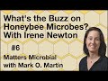 Matters Microbial #6: What's the buzz on honeybee microbes? With Irene Newton