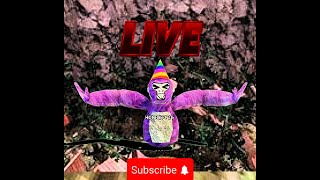 playing minigames gorilla tag live stream