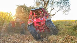 dangerous tractor stunt | Darius Plays with Tractor in the mud and Learns Traffic Signs for Tractor