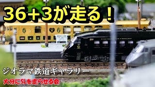 【Nゲージ/鉄道模型】36ぷらす3が走る！