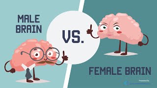 Male Brain vs Female Brain: What is the Big Difference?