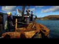 this nova scotia fishery is collecting giant scallops sustainably we are the best cbc