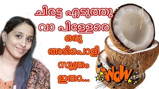 🦋ചിരട്ട ഇല്ലാത്ത വീടുണ്ടോ... 2ചിരട്ടകൾ മാത്രം കൊണ്ട് ഇത് ഉണ്ടാക്കാം ഒന്ന് try ചെയ്യൂ#craft #art