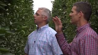 Matt Fisher, farmer, Delano, California