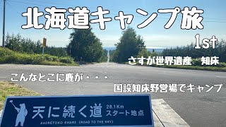 【北海道キャンプ旅　1st】　国設知床野営場キャンプ　さすが知床！こんなとこに鹿が・・・#北海道 #天に続く道 #知床#キャンプ