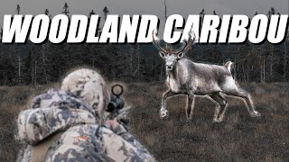 Woodland Caribou | Hunting in Newfoundland | S1 | E31 | Alpine Carnivore 4K