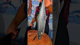 surumai seerfish anjal vanjaram neymeen #trending #shorts #instagram #youtube #seerfish #bigfish