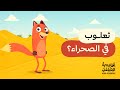 أغنية حيوانات الصحراء مع ثعلوب - الجمل والحصان والصقر والضب واليربوع