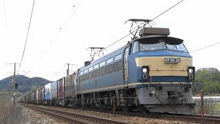 JR貨物　EF66-36号機　2070レ　2016年4月5日 【山陽本線】