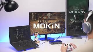 Explore the MOKiN DisplayLink Docking Station