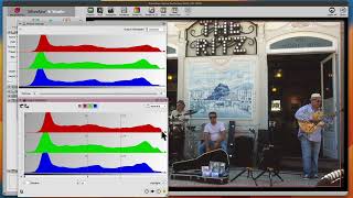 Input \u0026 Output Histogram in SilverFast Ai Studio 9 (English)