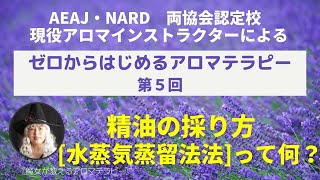 【アロマ初心者必見】精油のほとんどは水蒸気蒸留法で採っている