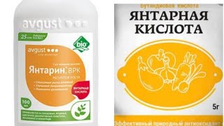 Янтарная кислота- регулятор роста листьев и корней