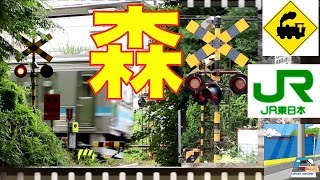 JR相模線　森の踏切Railway crossing　JR-Sagami line(Kanagawa japan)