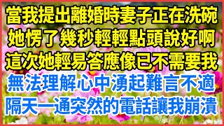 當我提出離婚時妻子正在洗碗，她愣了幾秒輕輕點頭說好啊！這次她輕易答應像已不需要我！無法理解心中湧起難言不適！隔天一通突然的電話讓我崩潰！#人生哲學 #感人故事 #深夜談話 #幸福生活 #人生哲學