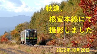 秋進、根室本線にて撮影しました　2022年10月20日　（JR北海道　特急おおぞら・DF200・DECMO）