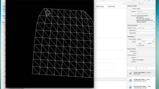 ofxPuppet example TEST