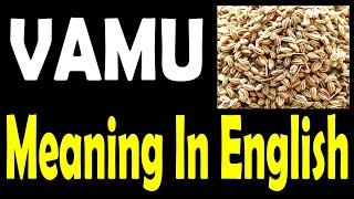 Vamu in English | Vamu Scintific Name and Meaning (Telugu)