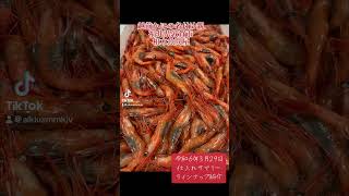 令和6年3月23日 #仕入れ#サマリー #ラインナップ@福井県敦賀市相木魚問屋 #おすすめのりたい#いいね下さい#さばいてみた#北陸新幹線#甘海老