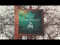 mihali maplewood official audio