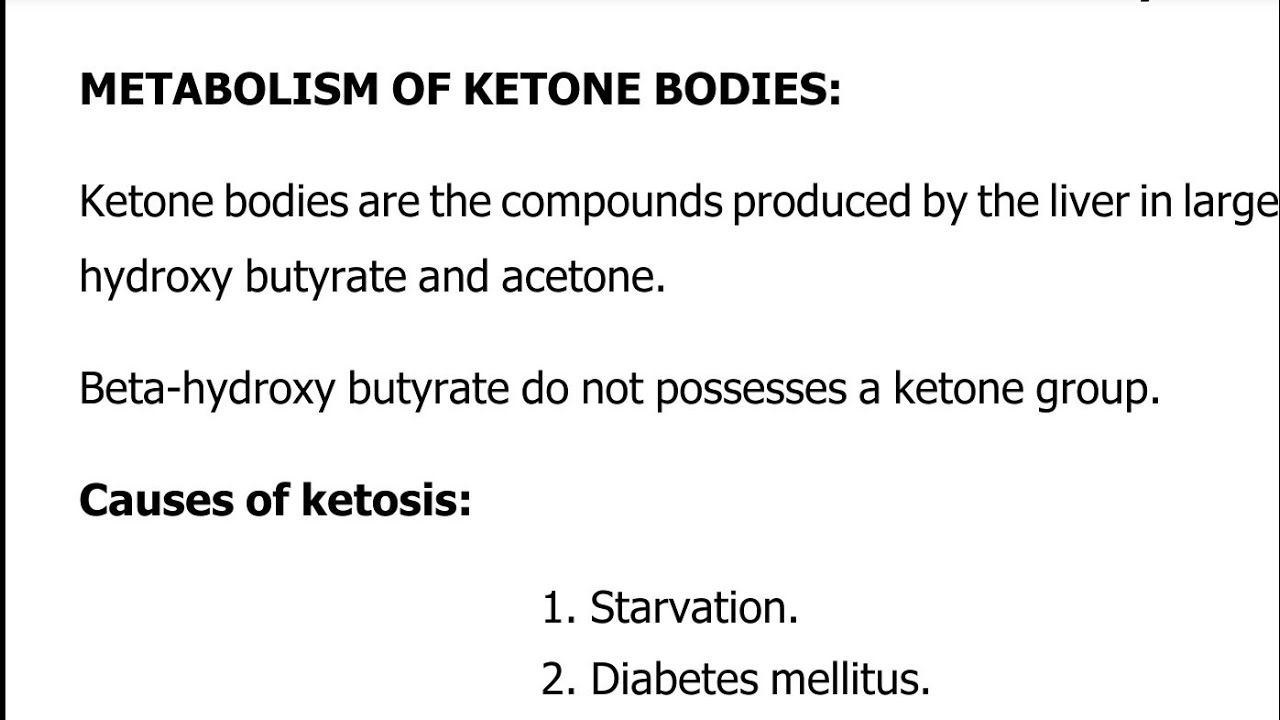 Metabolism Of Ketone Bodies With PDF Notes || Ketogenesis || Ketosis ...