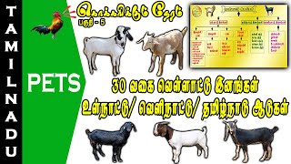 வெள்ளாடு வகைகள் || ஆடு வகைகள் || கொக்கரிக்கும் நேரம் || Tamilnadu Pets || Tamil