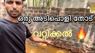 തോട് വറ്റിച്ചു മീൻ പിടുത്തം 🔥 | allroundfishing | #fishing #fish #fish #kuttanad #reallife #all