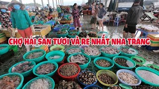 CHỢ HẢI SẢN tươi và rẻ nhất NHA TRANG