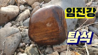 [고산식물 TV] 봄기운이 감도는 임진강 탐석~~