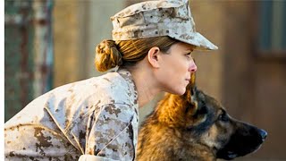 Woman soldier and K9 dog :A Story of Courage and Loyalty