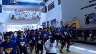 ADSS Flash Mob 2014