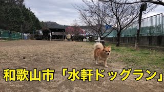 無料で広いおすすめ【ドッグラン】和歌山市水軒ドッグラン