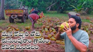 Kobbari Thota kayalu | My Village Kusumpuram Vlog |  Mana Intlo Youtuber