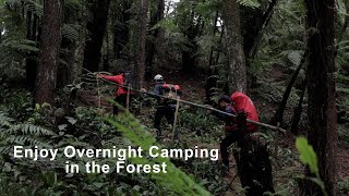 ASMR - Camping Bertiga di Hutan Pinus Diguyur Hujan Deras Semalaman