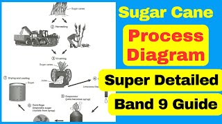 How to Describe a Process Diagram [IELTS Writing Task 1 Band 9 Guide]