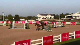 Indiscretion (2019 CHSA) - 1m Clear Round