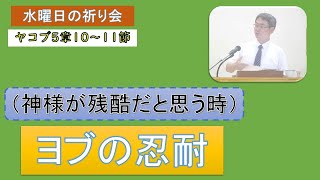 【聖書の御言葉】（神様が残酷だと思う時）ヨブの忍耐