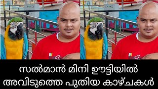 സൽമാൻ കുറ്റിക്കോട് #മിനി ഊട്ടിയിലെ പുതിയ കാഴ്ചകളുമായി നിങ്ങൾക്ക് മുമ്പിൽ #❤️❤️❤️👌👌👌💯