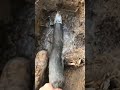 Soil Water Pipe Maintenance 🤯 #short #MVAC #Cut #Plumbing