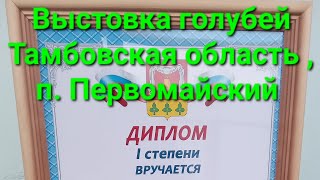 Отличная выстовка голубей прошла в п.Первомайское , отдельное спасибо организатору Попову А.И.