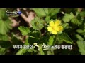 ebs 하나뿐인 지구 당신만 모르는 잡초 사용법