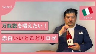 【実は日本人にはロゼがぴったりなんです】アウソニア / アポッロ チェラスオーロ ダブルッツォ（イタリア）