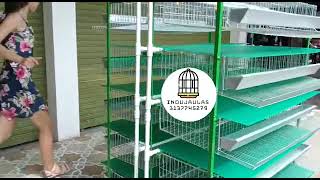 jaulas para codornices módulo vertical para 300 aves