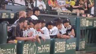 2014.6.27 甲子園　サヨナラ待機のベンチ　③