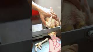 Manual chicken cutting machine for home