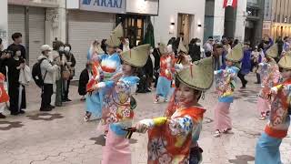 四国銀行　2024 龍馬生誕祭 帯屋町会場