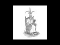 Floating points - King Bromeliad