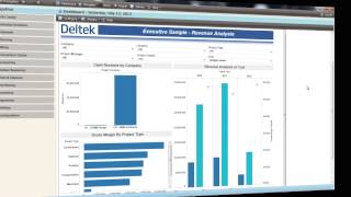 Deltek's Vision Performance Management