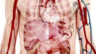 Comorbidity with Schizophrenia